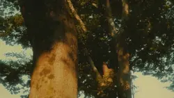 in another life