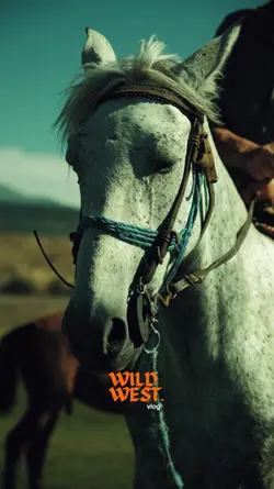WILD WEST CINEMATIC