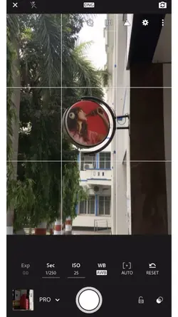 Photo Trend