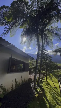 Morning Vibes