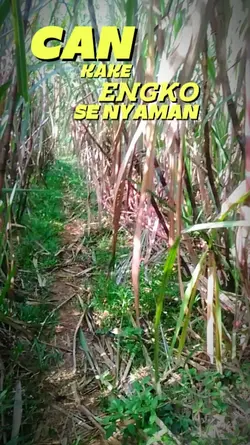 sawang sinawang 