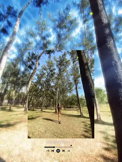 Nature trip+pic