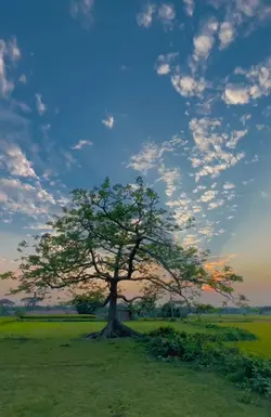 Weather video 