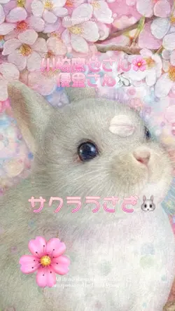 運命の人🩷　みーたん🌼