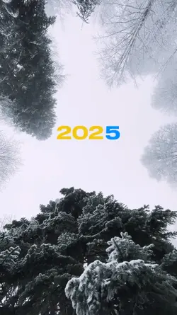 NEW YEAR 2025
