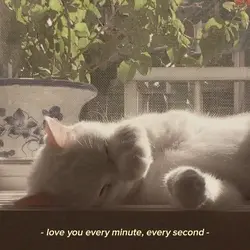 Love you every minut