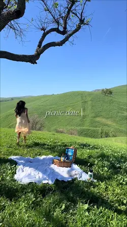 picnic date
