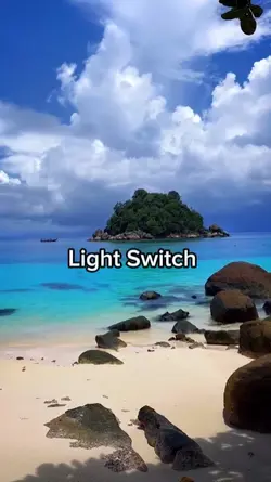 Light Switch 