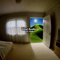 Vinyl audios p.160🎧