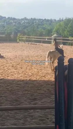 les animaux <3