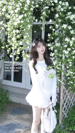 1 ảnh