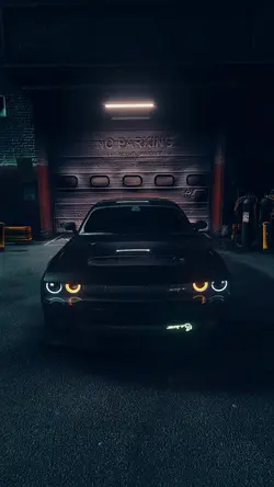 Speedramp x bomerang