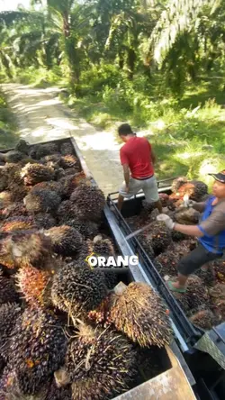 aku anak kampung