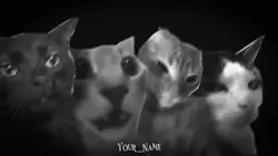 Free Anime Edit