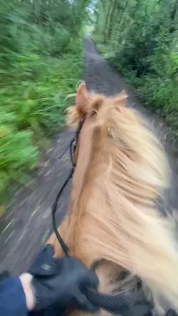 One clip slo-mo