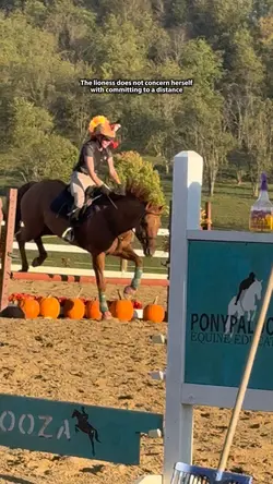 Dolcè saves my butt