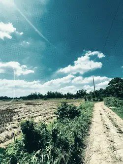 Smooth Slow Motion 