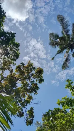nature