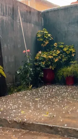 Rain relaxing 