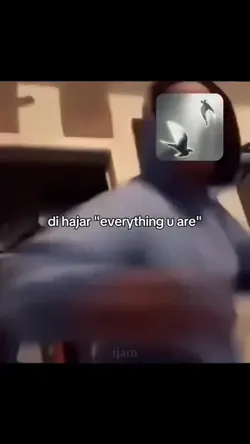 di hajar everything