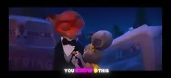 ZOOTOPIA🦊🐰