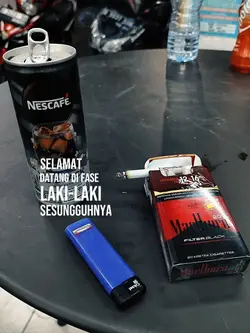 Fase laki-laki sesun