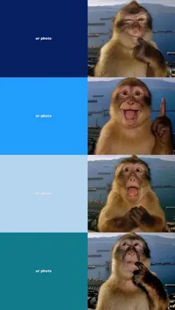 Monkey Trend Photo