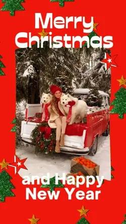 Christmas holidays