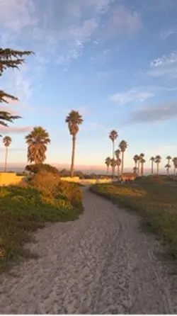 California Sun