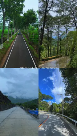 Offline w/ Nature