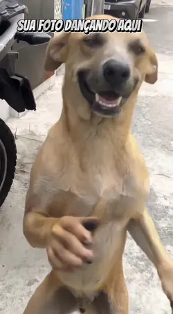 passinho do Jamal