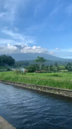 take me home