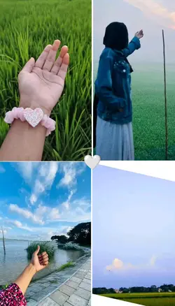 new trending