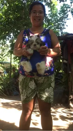 Alagang aso 