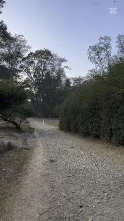 KAMI RAH GAYI