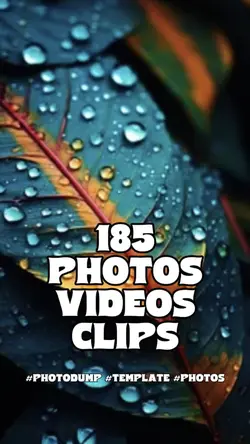 185 photos videos