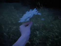Daisy... 