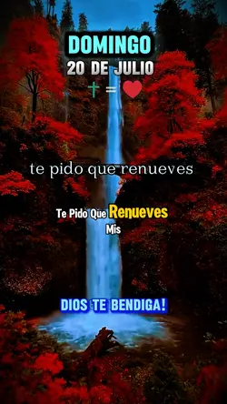 DOMINGO 20 DE JULIO 