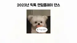 2023 틱톡 랜덤 플레이 댄스