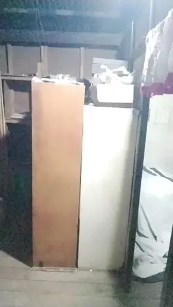tambu Meri velocity 