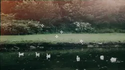 1 ảnh + ngôi sao