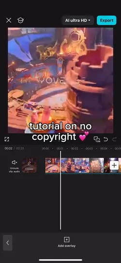 no copyright