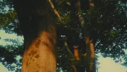 huh
