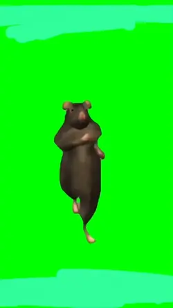 rat dance