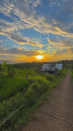 SUNSET CAKEP