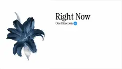 Right Now lyrics 