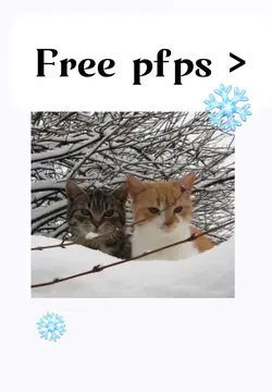 Free pfps!