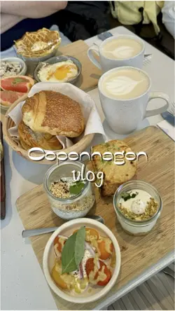 Copenhagen Vlog