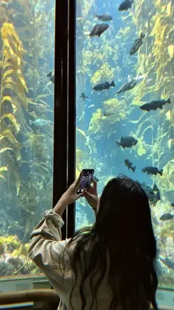 Ba kể con nghe 