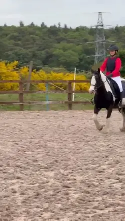dressage from the 